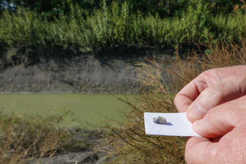 Tom Truitt displays a bullet fragment found on Dr. Randy Gillum's property in an...