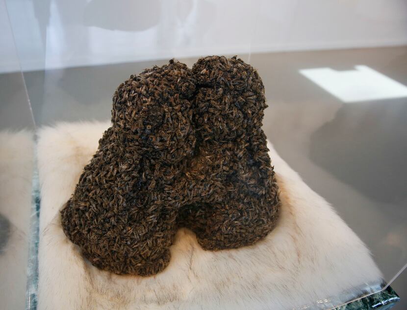 Artist Erin Stafford's Cuddle Death, which is made with clay, bees, faux fur and adhesive,...