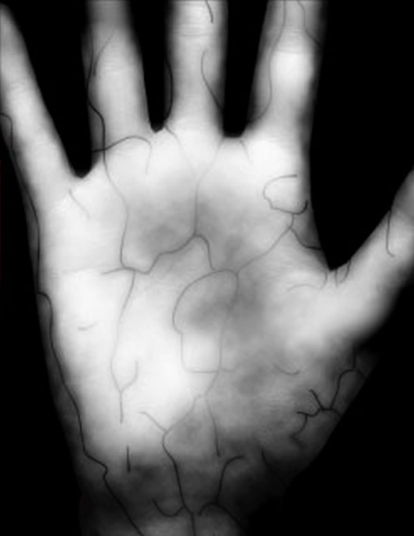 In less than two seconds, the palm scanner creates a high-resolution infrared photograph of...