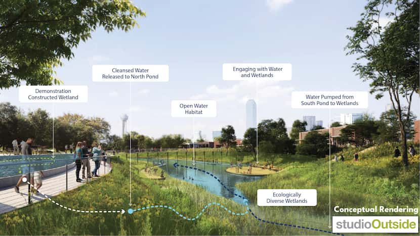 conceptual rendering of wetlands area near downtown Dallas