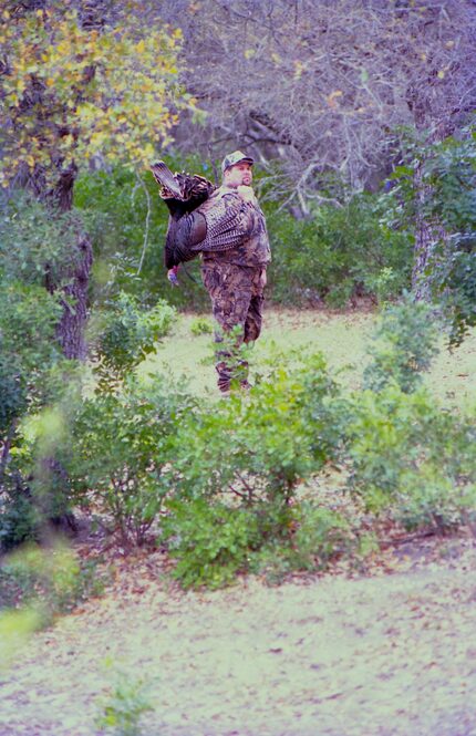 Spring is the breeding season for wild turkeys. The allure for spring turkey hunters is the...