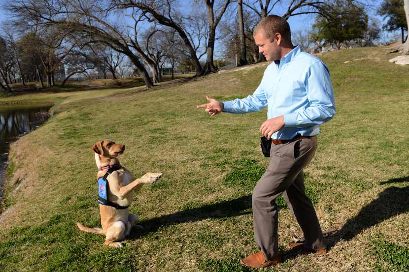 Dustin Deweerd does the "stick 'em up" trick with his 3-year-old Labrador service dog Gunny,...