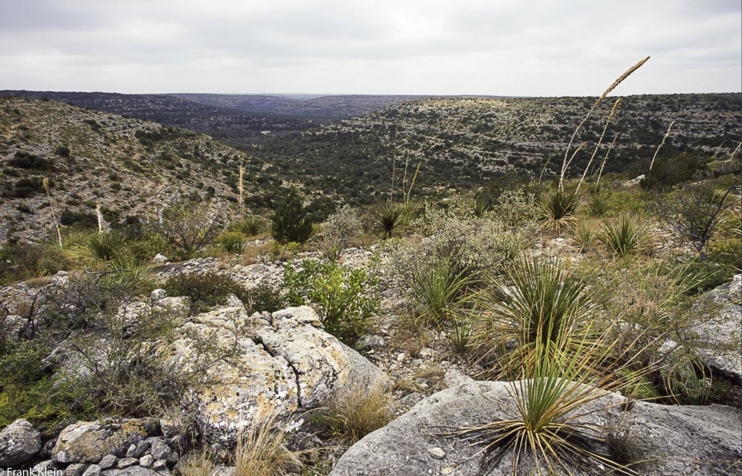 Monarch Ranch is near the town of Comstock.