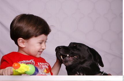 Tener un perro y abrazarlo “es una forma segura de reducir el estrés”, asegura un estudio de...