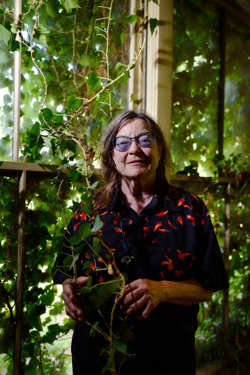 Barbara Fix, 73, of Santa Fe, N.M., holds on to vines that have grown through windows as she...