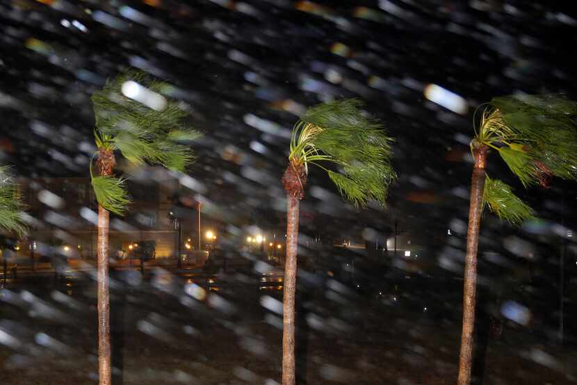 La lluvia azota la zona costera de Corpus Christi el viernes ante la llegada del Huracán...