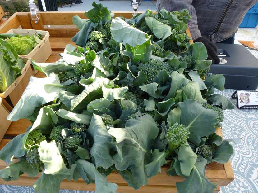 Tree Folk Farm in Denton displays beautiful broccoli and, peeking from the side, romanesco...