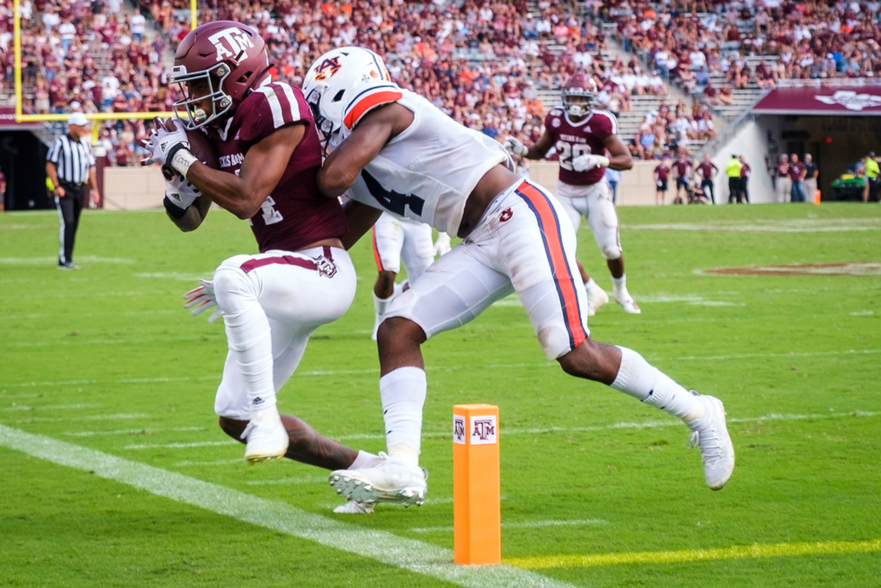 Texas A&M wide receiver Camron Buckley (14) is pushed out of bounds just short of the end...