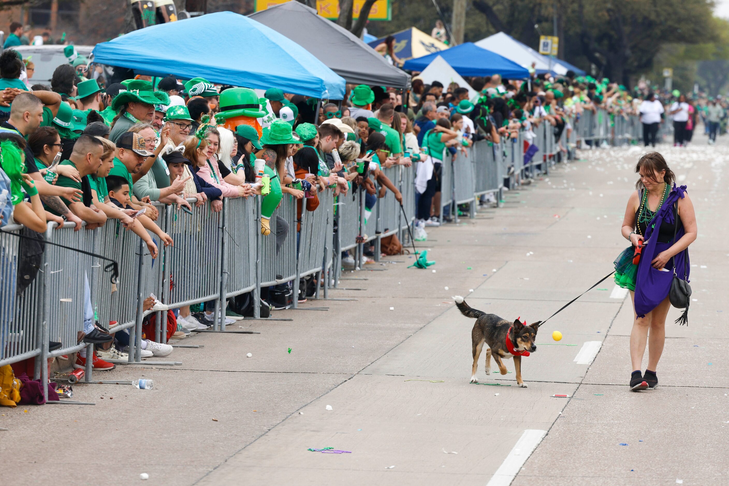 Mary Bond plays with her dog Duchess as she walks along Greenville Ave past the crowd during...