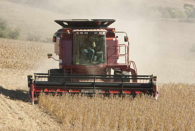 Lemar Vogler of Louisville, Neb., harvested soy beans in a field near South Bend, Neb., in...