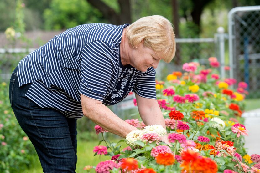 Tommie Hylkema, a 65-year-old schoolteacher who underwent shoulder replacement surgery in...