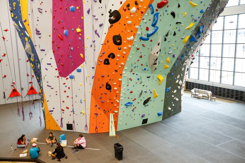 On belay': National climbing gym chain to open new facility in the Design  District