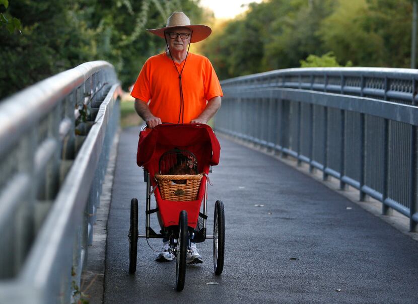 Milt Strong takes a walk with his chicken Summer along Katy Trail in Dallas on Tuesday, July...