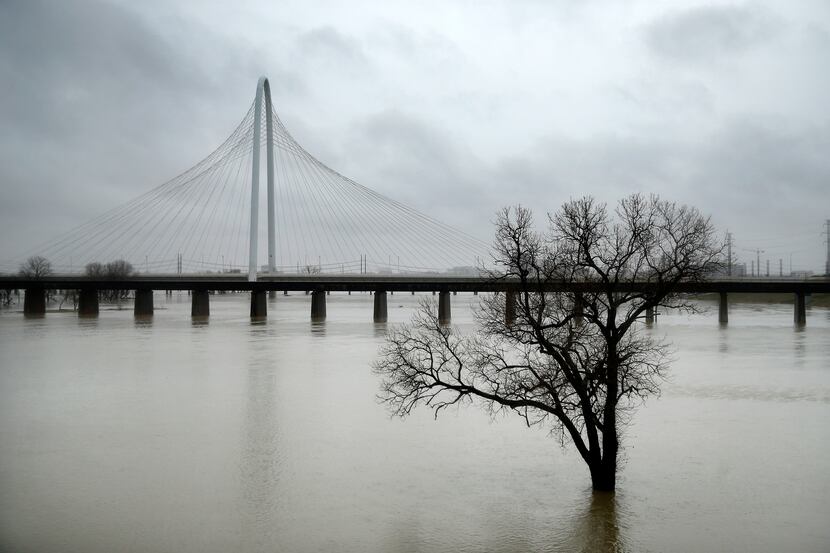 The rain-swollen Trinity River has overflowed it's banks, as seen here near the Margaret...