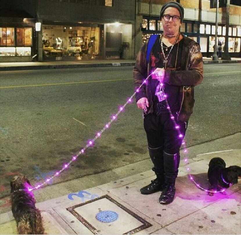  Colbert shows off one of his custom LED-lighted dog leashes in a photo from his Instagram...