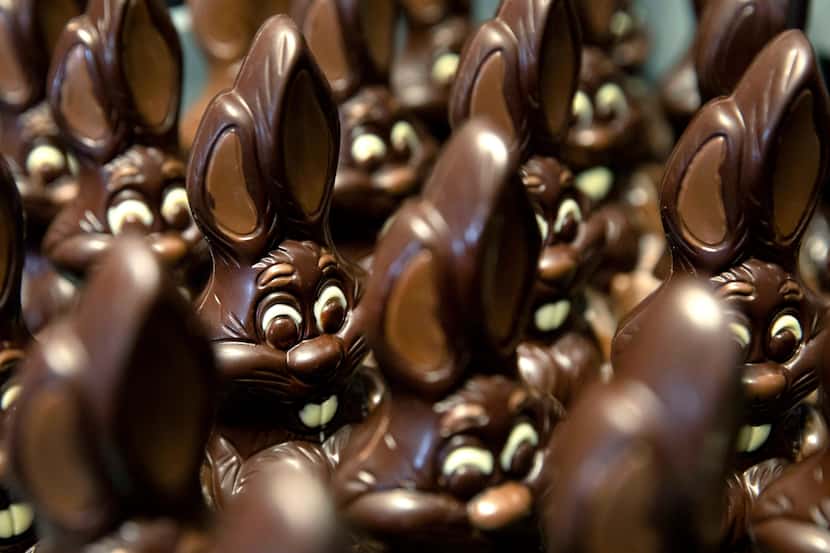 Chocolate rabbits will likely come at a bitter cost this year for consumers as the price of...
