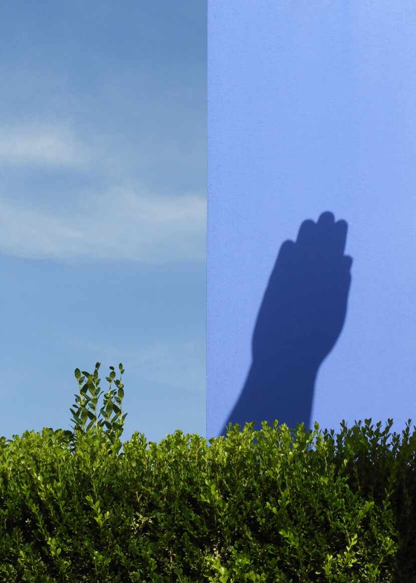 "High Five With Nature" -- Fair Park (a shadow of a sculpture on the east side of the water...