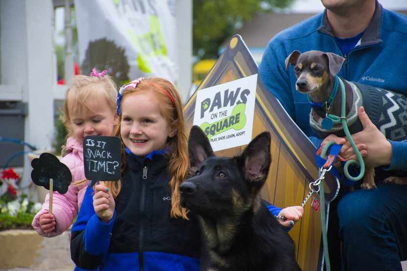 Paws on the Square includes lots of photo ops.