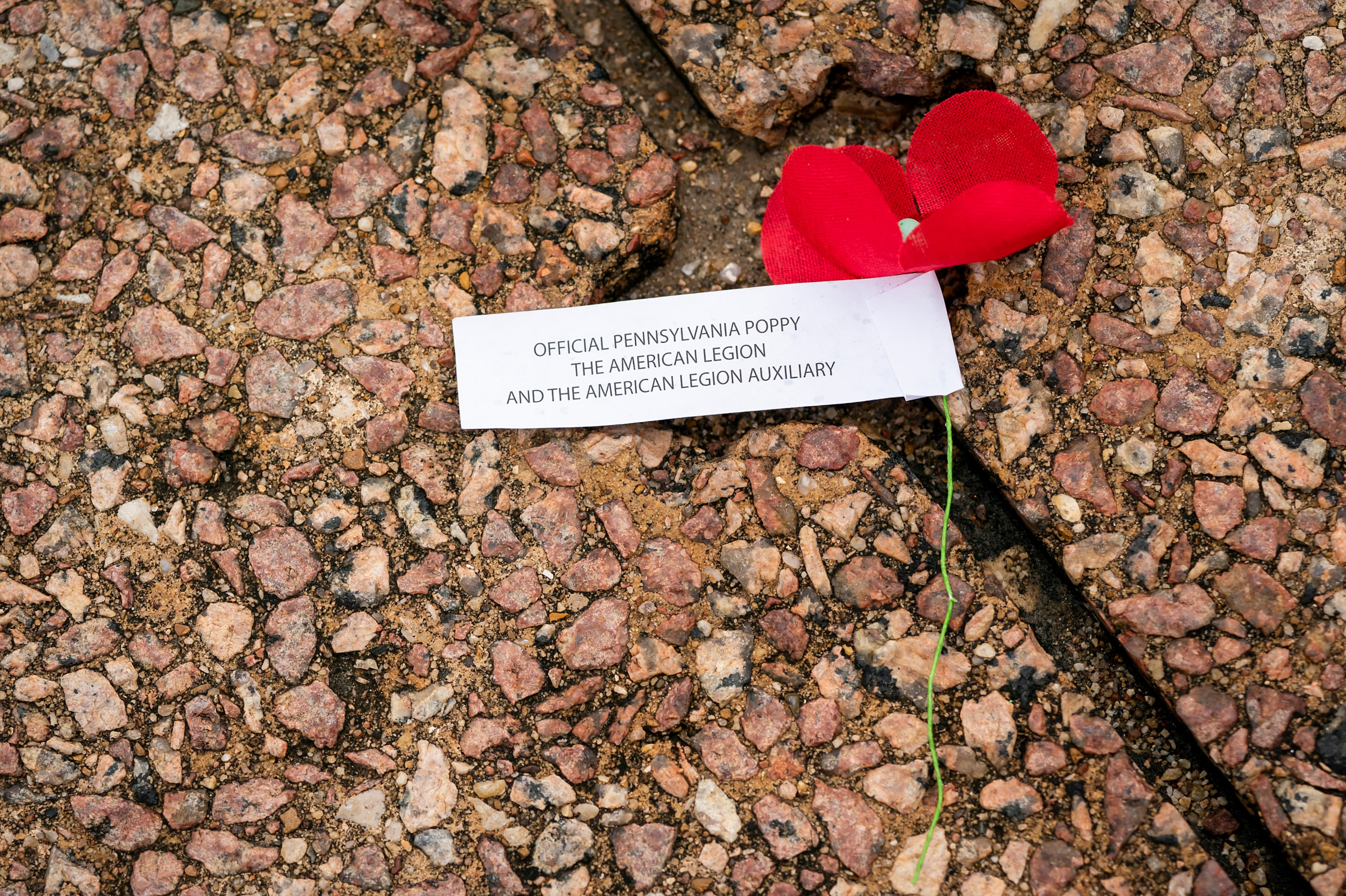 A poppy handed out by members of The American Legion is left behind following The Greater...