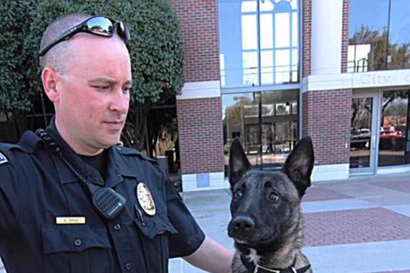 
Farmers Branch Police canine Bullet sits alongside his handler, Officer Steve Grigg....