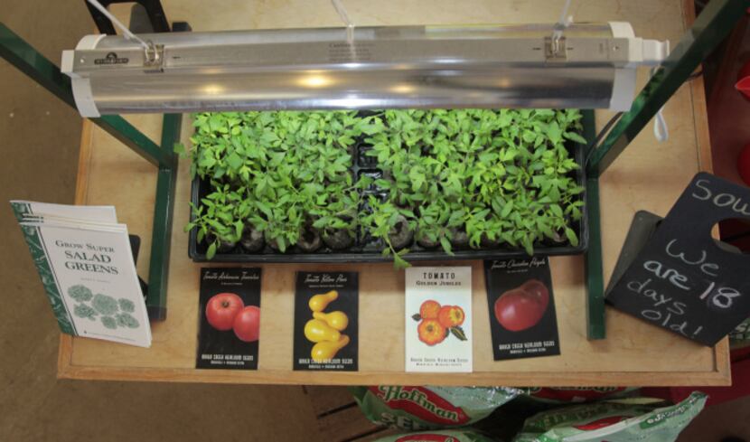 A heat mat is crucial for keeping the soil warm enough for seeds to germinate. Later, the...