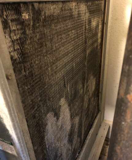 Mold Inspection Sciences Texas Inc. found mold in the air-conditioning unit of Laura...