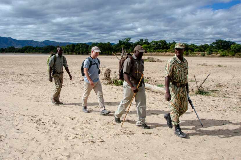 The walking safari was first tried decades ago in the Luangwa Valley and is still practiced...