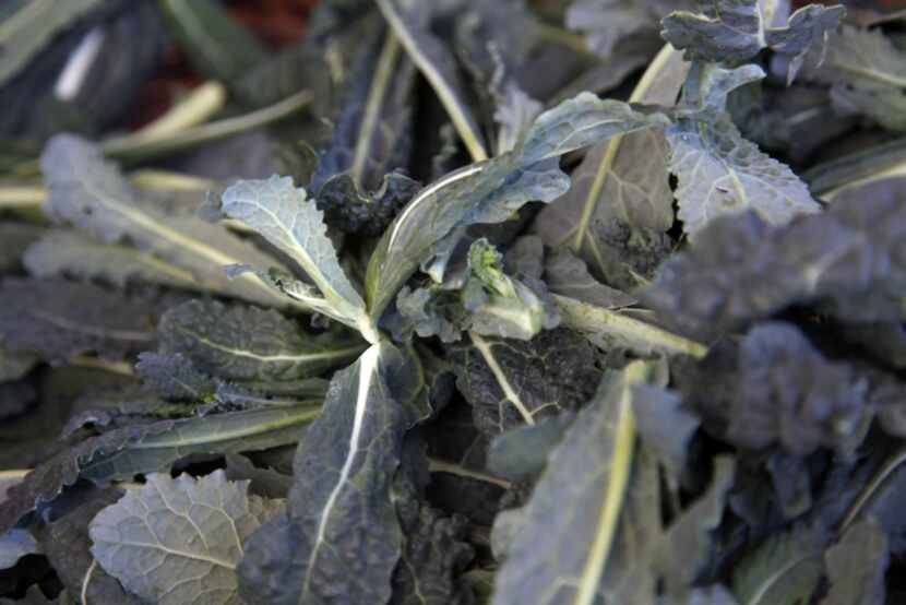 Dinosaur kale at the Gardeners in Community Development stall at the White Rock Local Market...