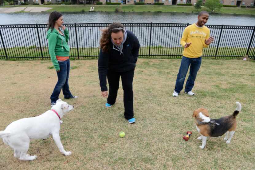Friends (from let) Sara Cawley, Gabi Kanterman and Jason Grigsby play with their pets at the...