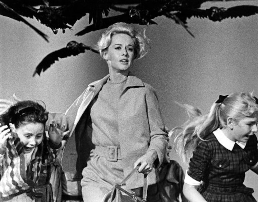  Tippi Hedren in  The Birds 