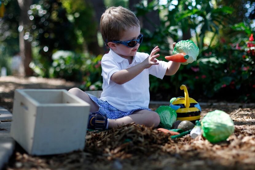 Ingram Johnson, 3, plays during the opening of the Dallas Arboretum Rory Meyers Children's...