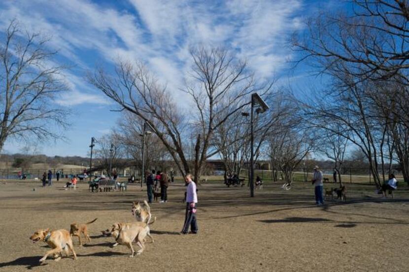 
Dogs run at the White Rock Lake Dog Park. A Mesquite Facebook group was formed by more than...