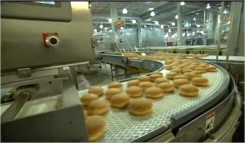 Buns rolling through a Flowers Foods bakery showing how buns are produced. This scene is...