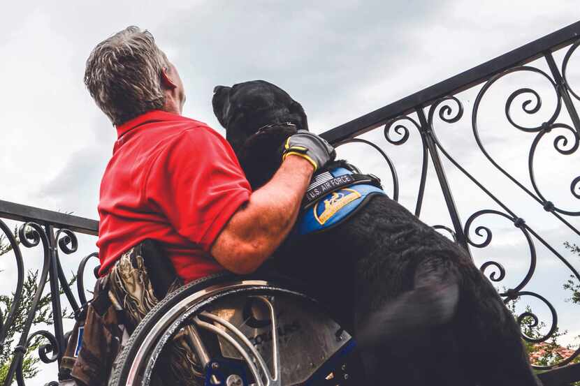 A disabled veteran in a wheelchair looks up at the sky with his service dog.