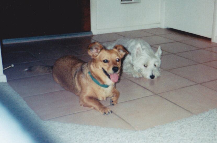 In 1999, cooling off on the tile with Casper. Maggie and Casper were wild and crazy back...