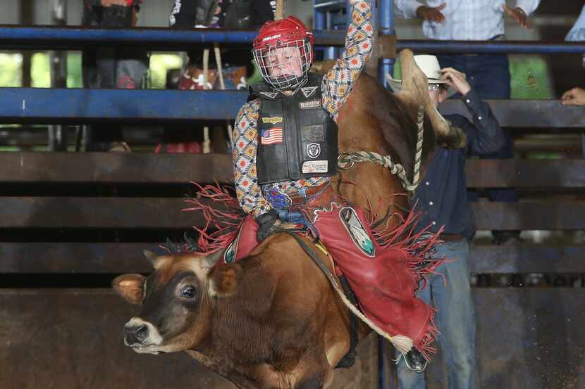 Hunter Durham, 9, rides a miniature bull in preparation of the International Mini Bull...