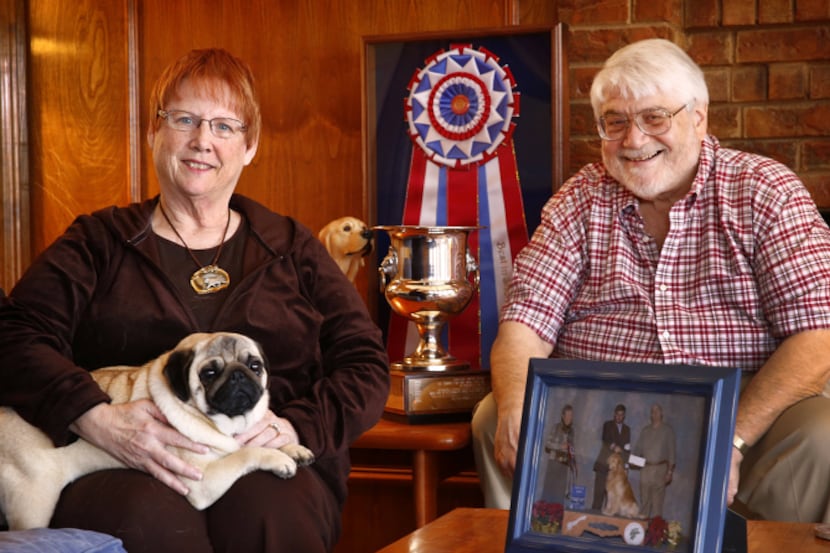 Dick and Patti Caldwell of Lavon pose with their pug, Spice, who won't be competing in the...