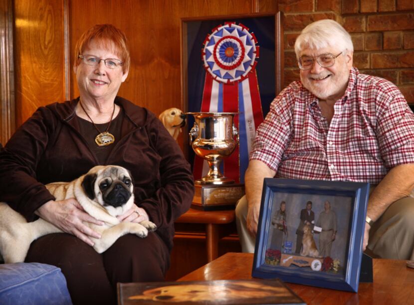 Dick and Patti Caldwell of Lavon pose with their pug, Spice, who won't be competing in the...