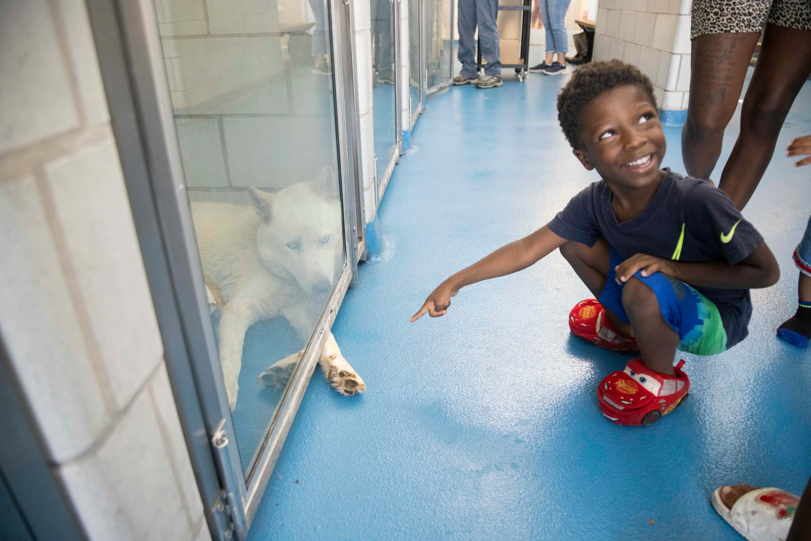 Jamar Young, 5, points to two-year-old Lobo during the Dog Days of Summer event.