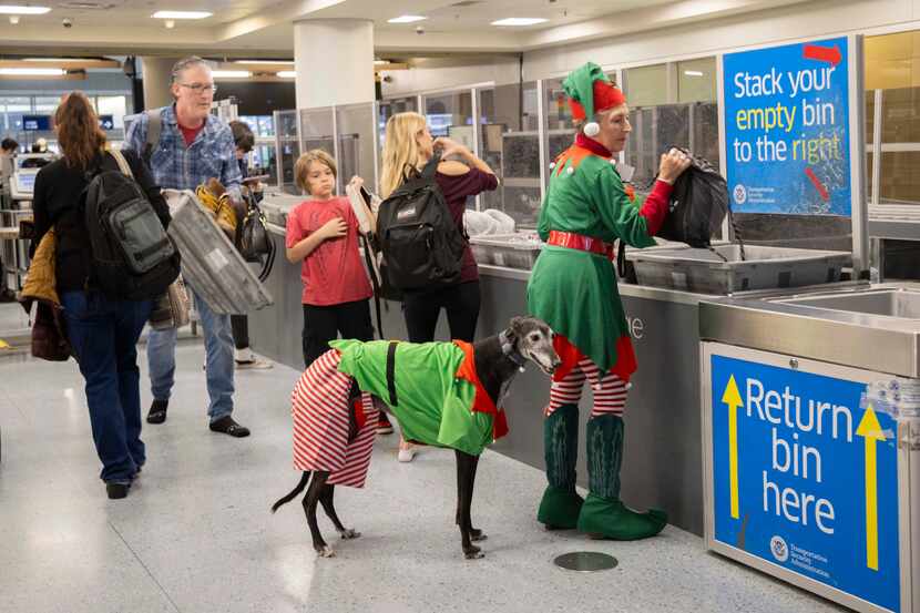 Pam Graham dressed as an elf grabs her belongings after going through TSA with dog Angie on...