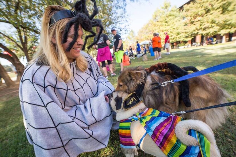 Trick or Trot on Saturday in Fort Worth will include a doggy costume contest.