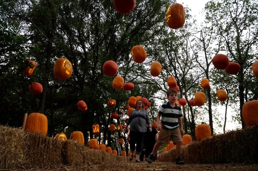 This weekend is your last chance to check out Pumpkin Nights, a festival showcasing magical...