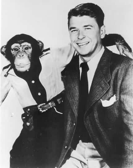 This 1952 file photo shows former President Ronald Reagan and co-star Bonzo in a movie still...