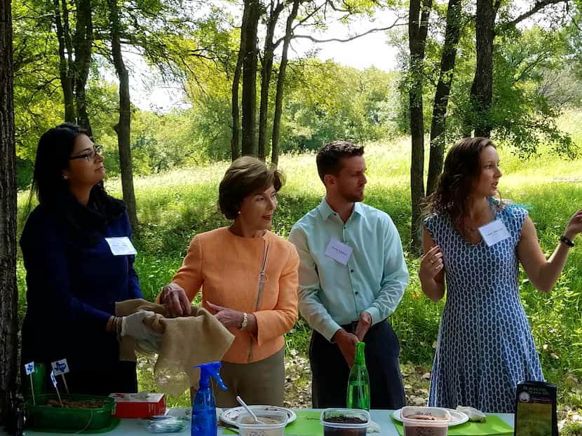 Former first lady Laura Bush helps make seed balls to plant milkweed at a corporate park in...