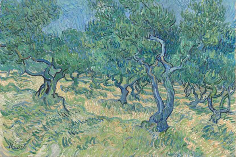 Vincent van Gogh, Olive Grove, July 1889, oil on canvas. The work is part of the exhibit...