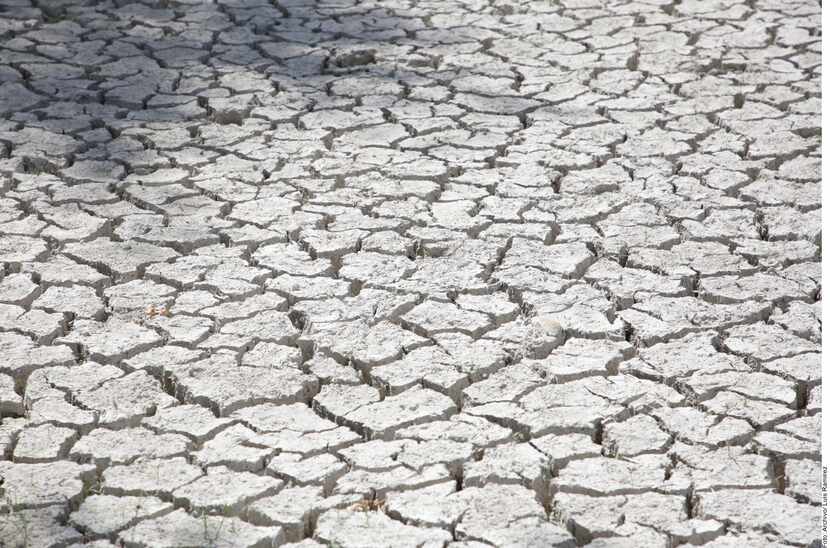 Una de las regiones más afectadas por la sequía es Veracruz, donde las autoridades estatales...