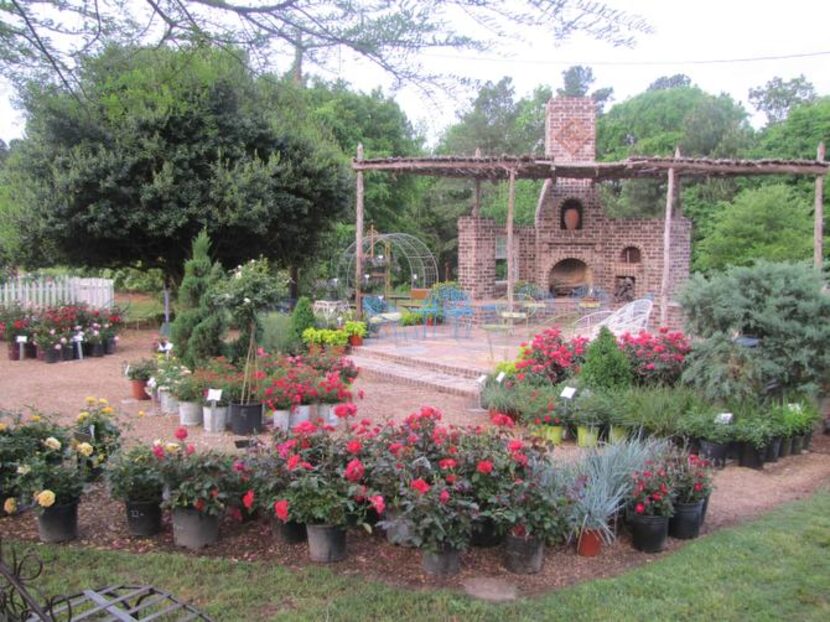 
The outdoor fireplace at Blue Moon Gardens will be the site of marshmallow roasting during...