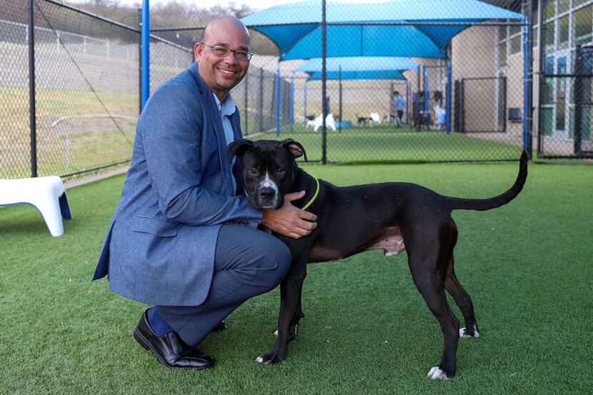 Outgoing Dallas Animal Services Director Ed Jamison on Friday with Benson, one of the...