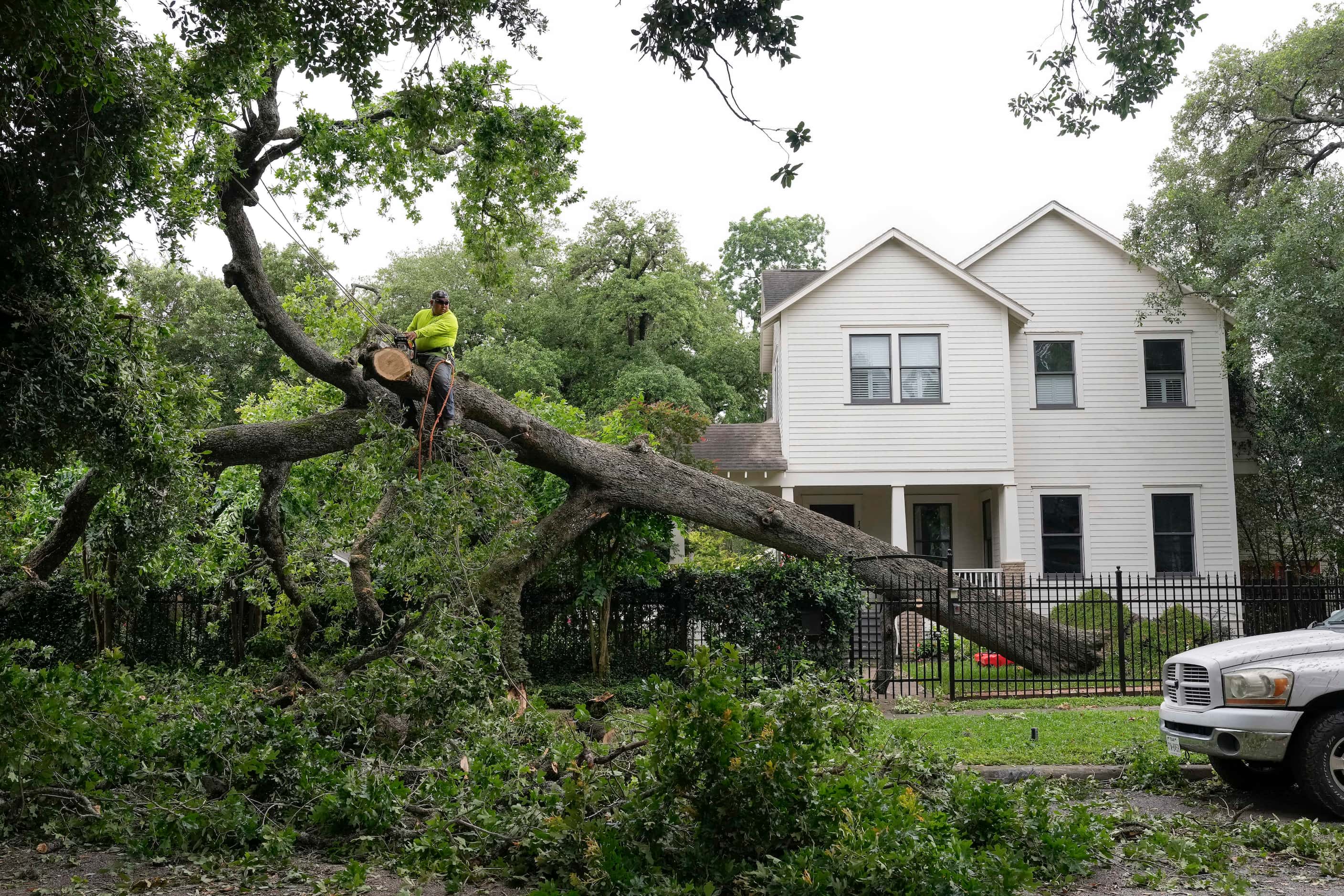 Tree removal serviceman Jose Navarrete removing an uprooted tree that went over the fence on...
