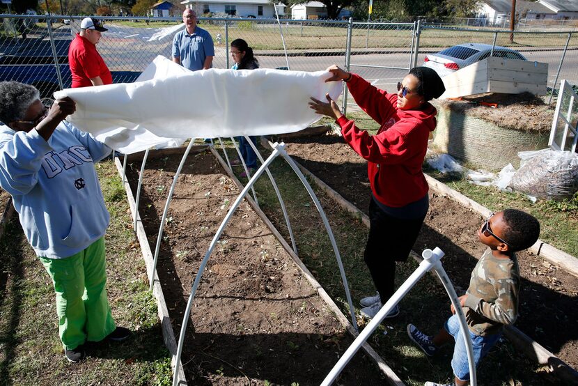 Volunteers Florence Hawkins-Criss, (from left) Jason Redick, Daniel Cunningham, Mayra...